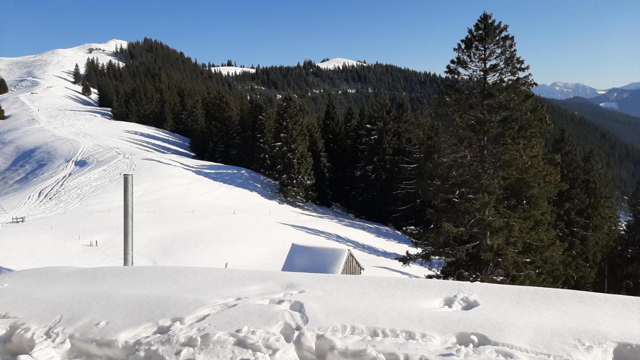 Kultur, Berge, Seen, Moor - Das Lebensglueck Murnau am Staffelsee Exterior foto